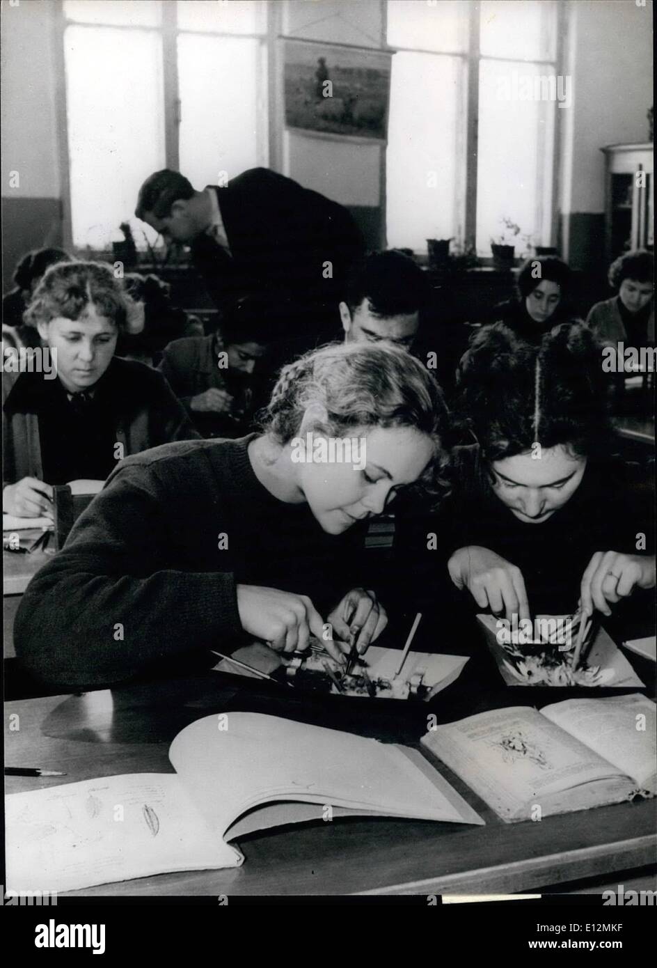 24. Februar 2012 - Dissektion: Eine medizinische Klasse seziert einen Vogel. Jeder Schüler muss ihr eigenes Exemplar und machen Sie ihren eigenen Bericht. Stockfoto