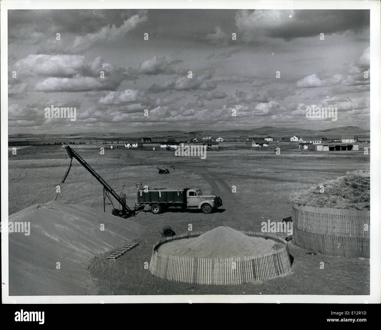 24. Februar 2012 - Co-op-Farm In Kanada A Lagerung Haufen Getreide als LKW entladen überschüssige Weizen im Freien. im Hintergrund kann die Anordnung der Häuser und Gebäude zu sehen. Stockfoto