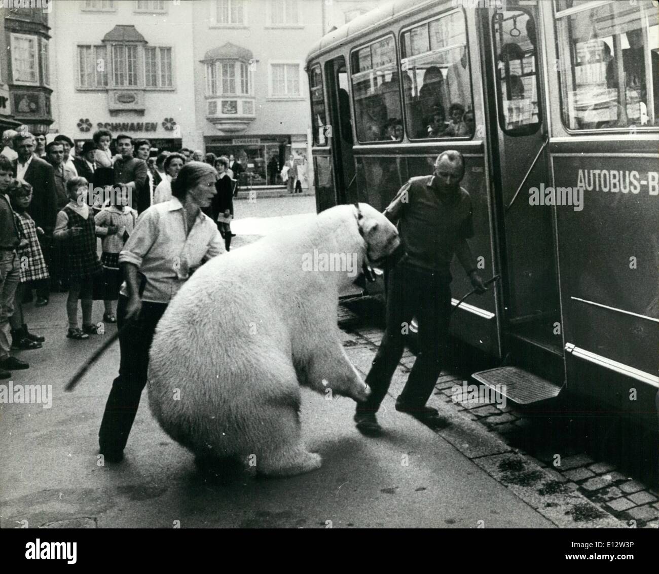 25. Februar 2012 - nur ungern Passagier: Es dauerte viel schieben und ziehen um dieser Eisbär auf dem Bus an Schaffhausan in der Schweiz zu erhalten. Die Passagiere fanden seine Präsenz nicht unerträglich. Stockfoto