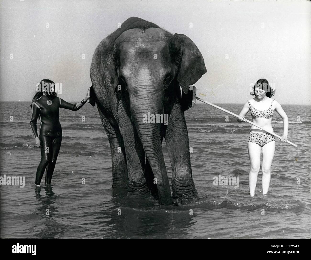 25. Februar 2012 - ruft Tanya, die Elefanten ihre regelmäßige wöchentliche Peeling nach unten von Linda Burley, 16 (links) und Denise Hunwicks. Stockfoto