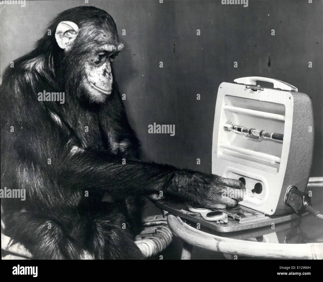 25. Februar 2012 - die Grippe Weg zu halten. Da die meisten Häftlinge des tschechoslowakischen und Zoos im Allgemeinen, in der Tat stammen aus tropischen und subtropischen Regionen, in denen, die Sie zusätzliche Pflege benötigen, und Aufmerksamkeit während der Wintermonate stehen die einige von ihnen besser als andere. Affen fühlen einen dringenden Bedarf an der Sonne, und alles geschieht also im Zoo in Usti, Tschechoslowakei, für den Mangel in dieser Zeit des Jahres, mit UV-Strahlen, die hilft, Sie Erkältungen aus denen Affen und Affen enthalten sind, zu Recht häufig leiden zu machen Stockfoto