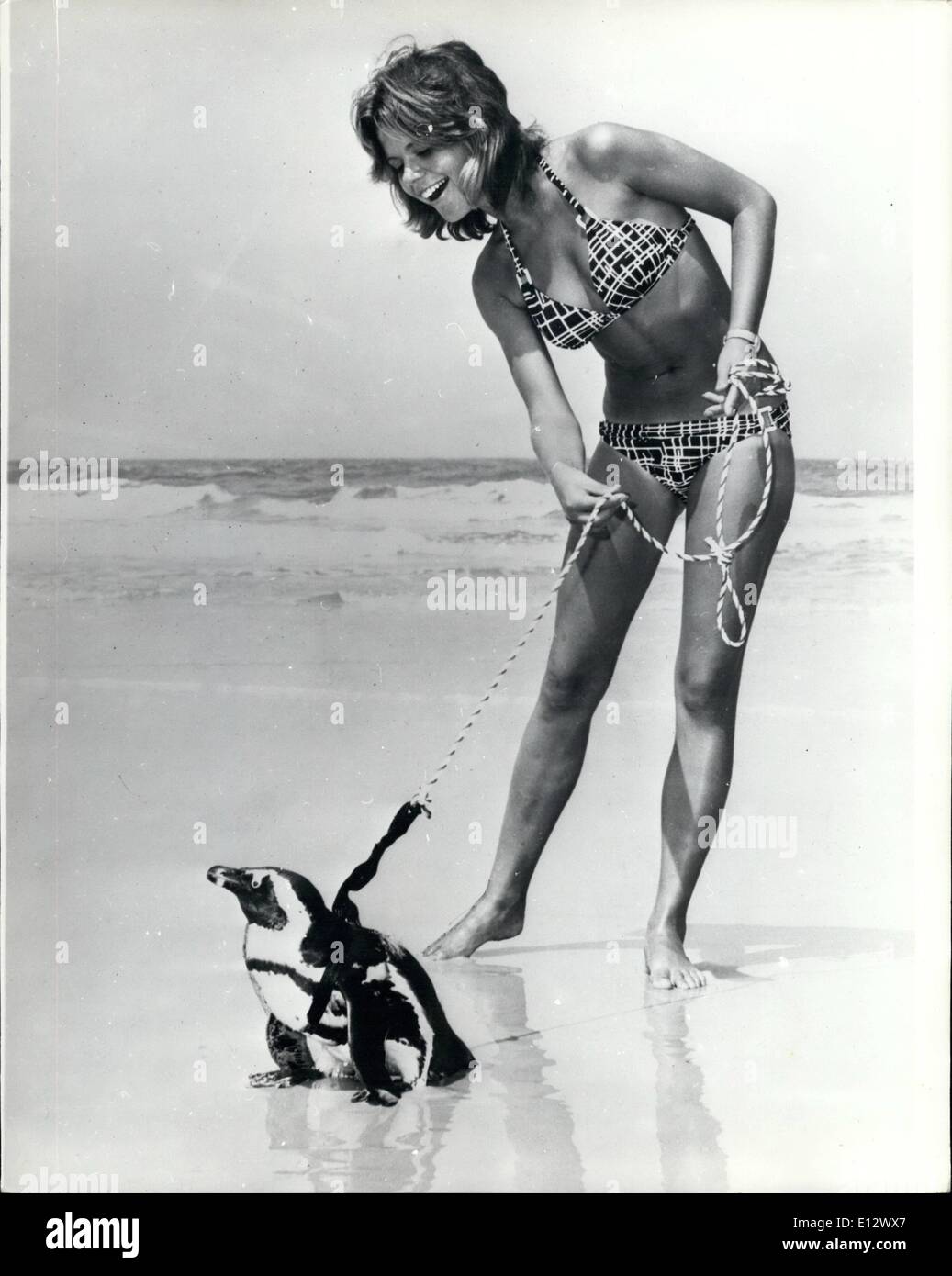 25. Februar 2012 - die Pinguine spazieren. Während die meisten Mädchen vertrauten Familienhund gehen, zieht Mary Hume, anders zu sein. Statt eines Hundes schlendert sie mit einem Haustier Pinguin namens Bertie. Sie sind zusammen in Daytona, Florida gesehen. Stockfoto