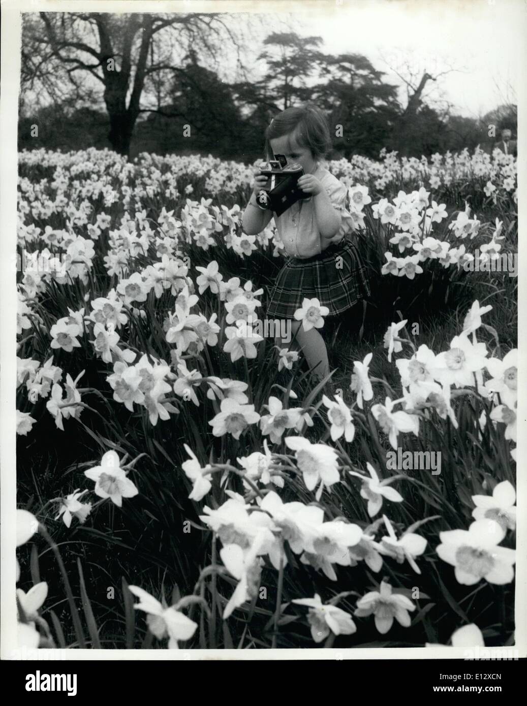 26. Februar 2012 - Frühling in der Luft: Frühling ist ein wenig spät in diesem Jahr, aber besser spät als nie, es ist gerade angekommen in den neuen Gärten. Die Blüte auf der Magnolien ist in voller Blüte und Narzissen sind Cout in all ihrer Pracht. Und in diesem Frühjahr Frühling, Frühling in der Luft, die Sonne im Park genießen Sie die Menschen brachte. Eine Vielzahl von goldenen Narzissen und hier ist eine kleine Kleinkind versucht, alle fangen dieses Frühjahr Ruhm mit der Kamera. Stockfoto