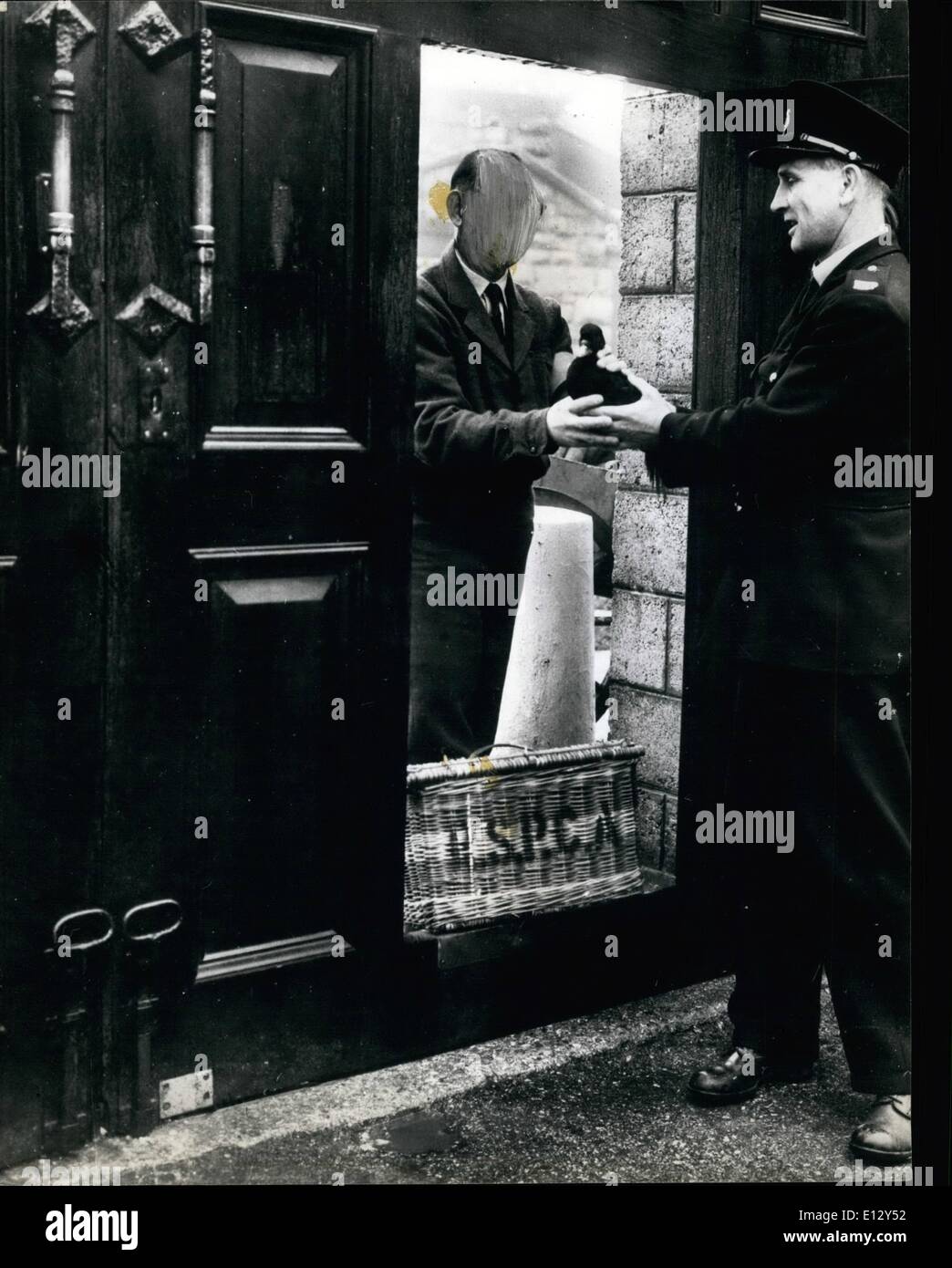 25. Februar 2012 - Handling über dem Patienten. Die meisten Vögel am Strand sind in der Regel mit Öl bedeckt sein, beschränkt ihre Stockfoto