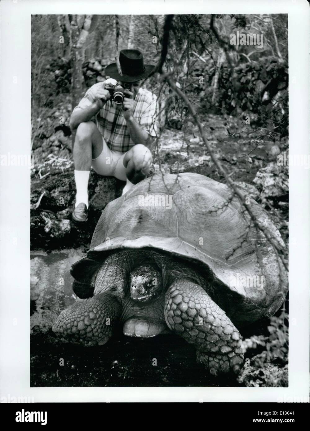 26. Februar 2012 - prähistorische Schildkröten gewinnen Wissenschaftler... und Ausflügler Galapagos-Inseln, Ecuador S.A.--400 Meilen vor der Küste von Ecuador, den Galapagos-Inseln wurden von Charles Darwin '' ein lebendiges Labor der Evolution'' genannt und sind noch bewohnt von prähistorischen Tieren, darunter die berühmten Riesenschildkröten, '' Galapagos'' in spanischer Sprache, die der Inselgruppe ihren Namen gab. durch AirJet-Service vom Festland und kleinen Kreuzfahrtschiffen rund um die Inseln beginnt Ecuador nun zur Förderung des Tourismus auf die Galapagosinseln, die Entdeckung und Wissenschaft mit Sightseeing und Freizeit kombiniert Stockfoto
