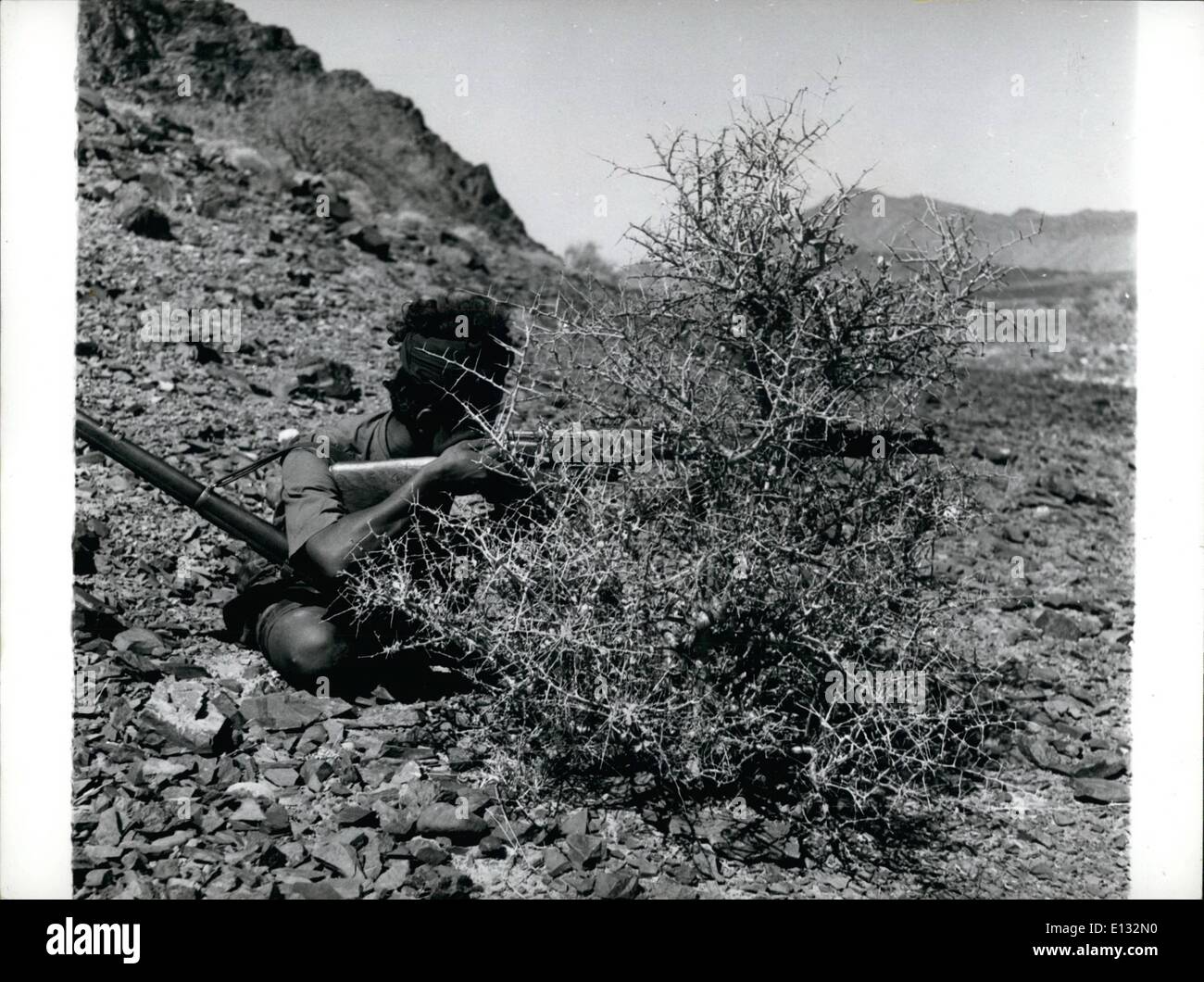 26. Februar 2012 - Jemen Ã ¢ â'¬â €œAden Grenze: ein jemenitischer Scharfschützen der Regierung zwingt, hinter einer weißen Dornbusch. Stockfoto