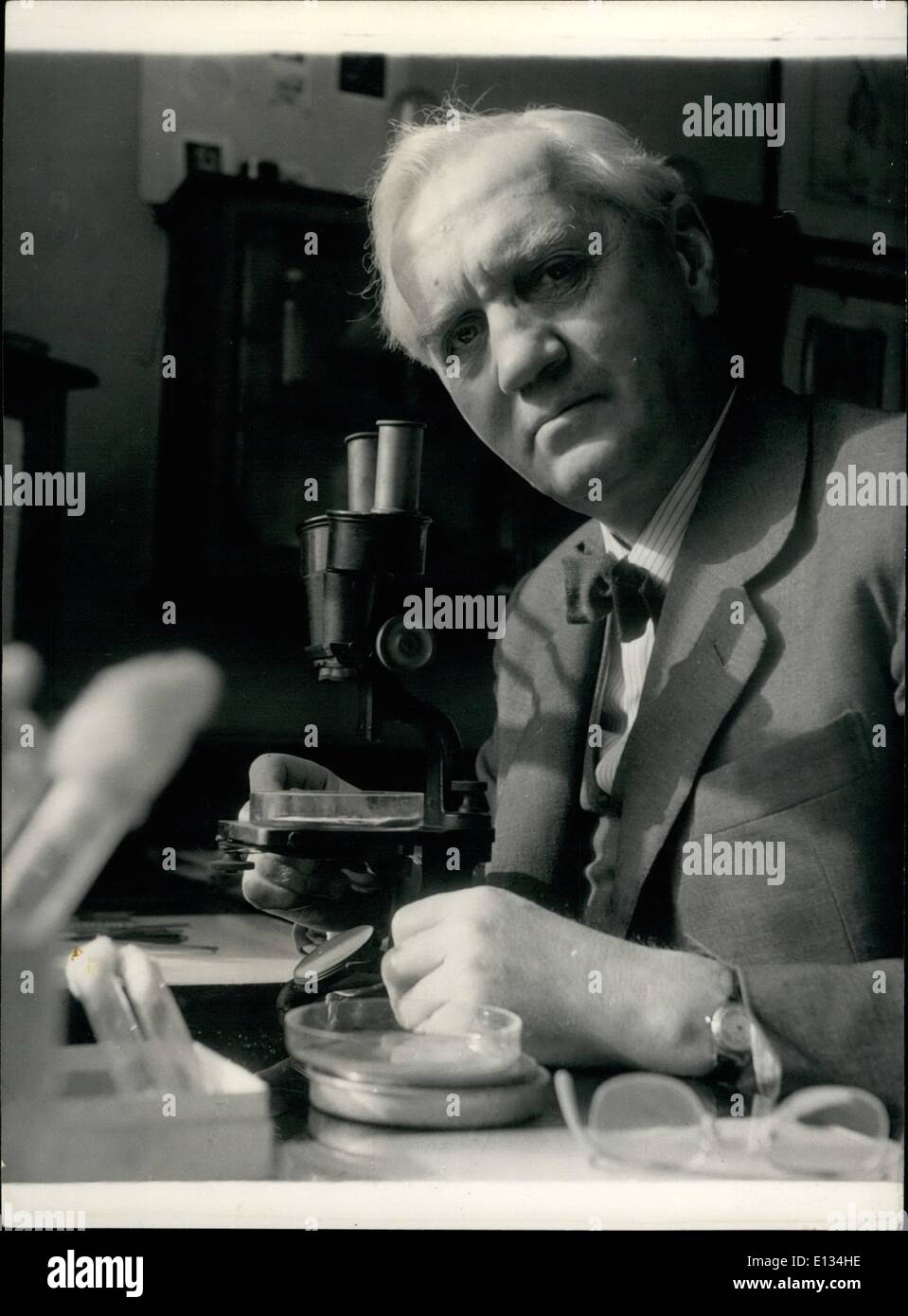 28. Februar 2012 - Sir Alexander Fleming: Der Mann, der entdeckte Penicillin 25 Years Ago: die berühmten Bakteriologe, Direktor der Wright-Fleming-Institut arbeitet mit seinem Mikroskop in seinem Labor an St, Marien Hospital, London. Stockfoto