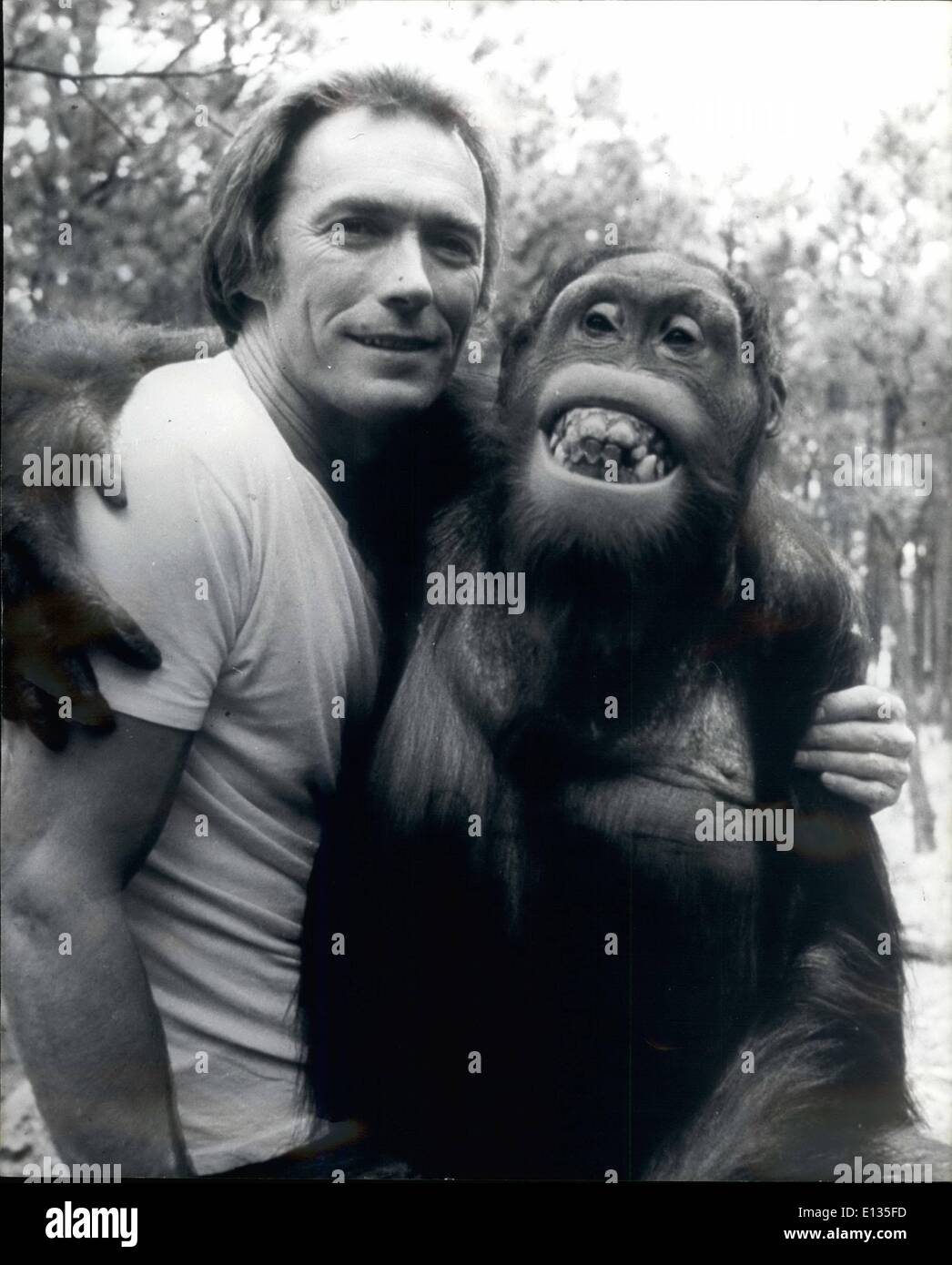 28. Februar 2012 - ist Clint neueste Co-Star ein Orang-Utan. In einem kompletten Wechsel der Gangart erscheint US-amerikanischer Schauspieler harter Kerl, Clint Eastwood, ein Film-Komödie Co-starring mit einem Orang-Utan. Auf dem Bild namens Every Which Way aber locker erscheint dessen bester Freund Haustier Orang-Utan ist Clint als LKW-Fahrer ein easy-Going. Hinter den Kulissen gab es viel Debatte über die berechnete Schwierigkeiten und gefährliche Ergebnisse für Eastwood arbeitet mit der Kreatur. Der 12 Jahre alte Orang-Utan, einem Gewicht von 165 lbs Stockfoto