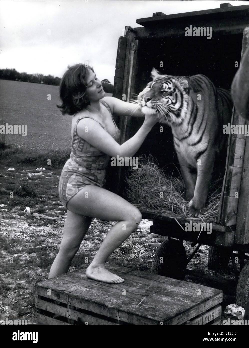 26. Februar 2012 - nur ungern Tiger seinen Lkw verlassen zu überzeugen. Mary Chipperfield und Suki. Stockfoto