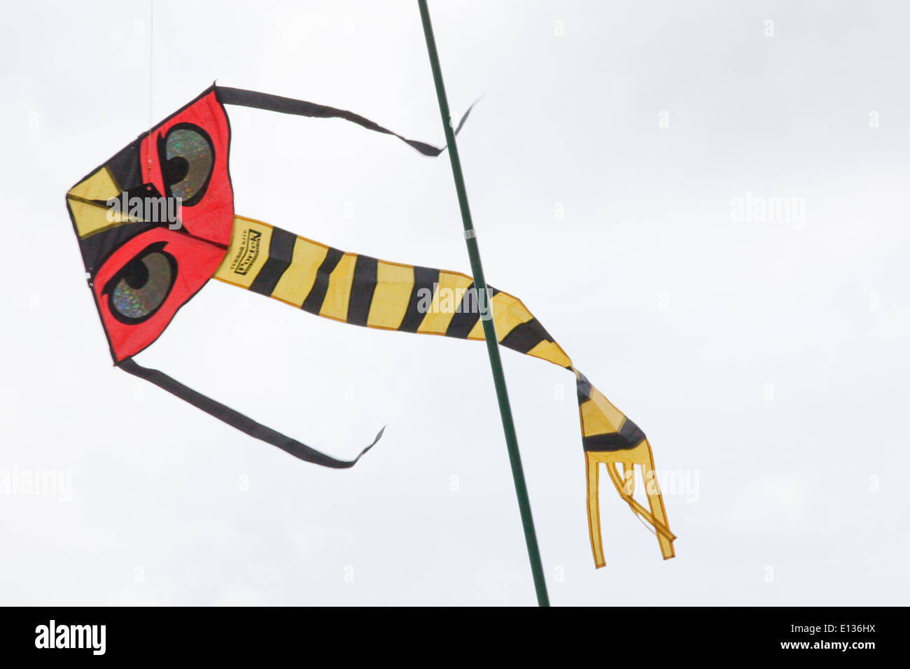 Vogel erschrecken Kite, mit viel betonte Augen, verwendet, um über die Ernte von Erbsen als erschrecken Gerät tätig. Ingham. Norfolk. Stockfoto