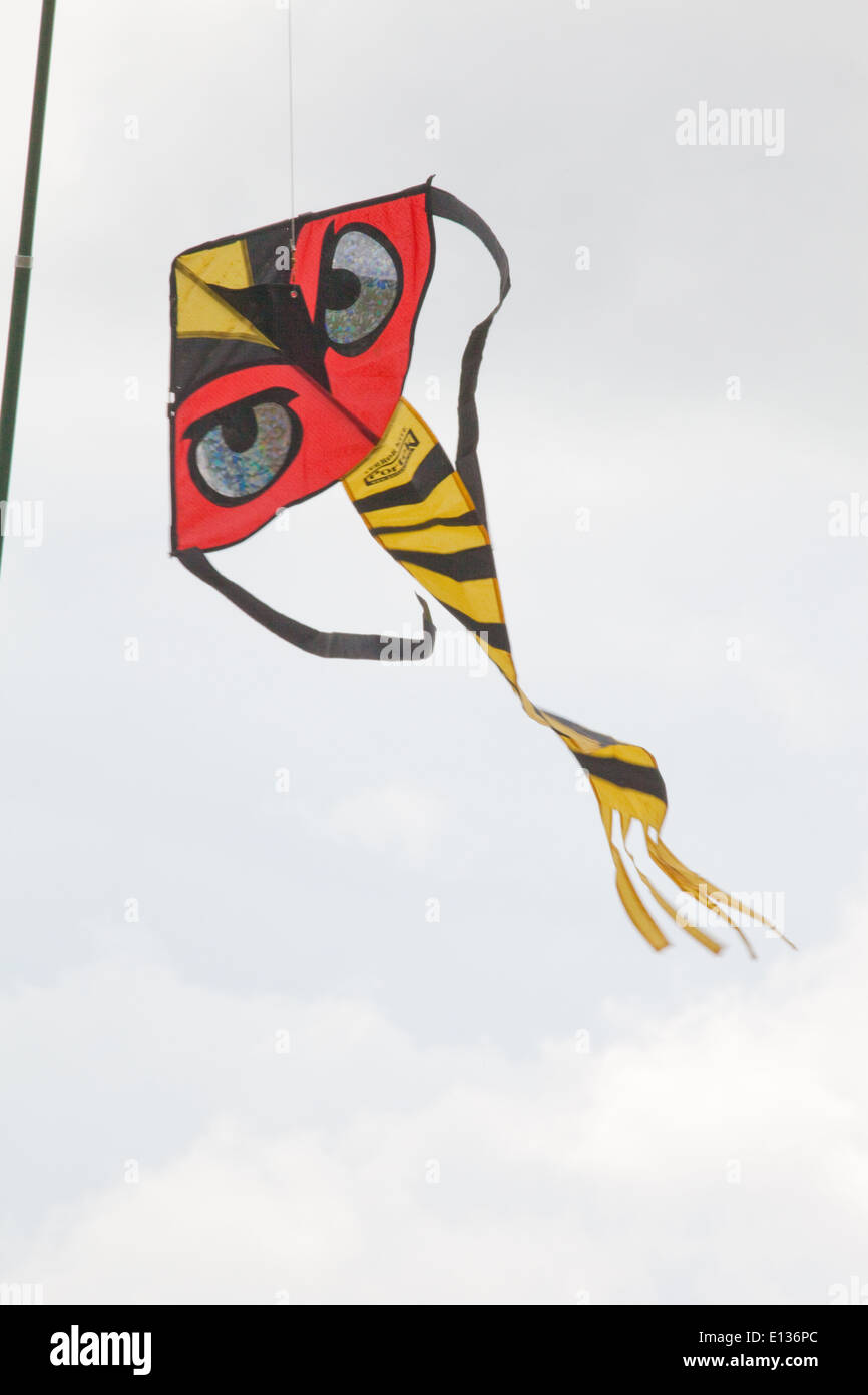 Vogel erschrecken Kite, mit viel betonte Augen, verwendet, um über die Ernte von Erbsen als erschrecken Gerät tätig. Ingham. Norfolk. Stockfoto