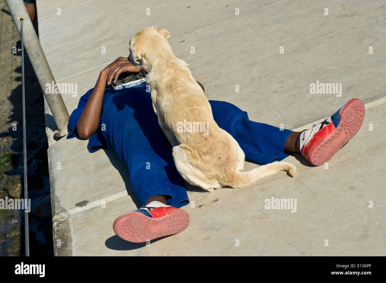 Mindelo Karneval 2014 - ein Mann liegt auf dem Bürgersteig mit seinem Hund wacht über ihn. Stockfoto