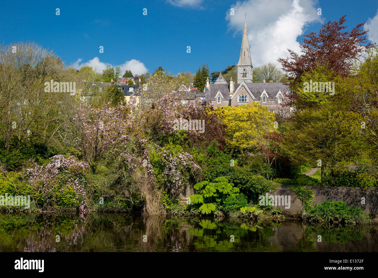 Fluss Lee und Kirche unserer lieben Frau vom Rosenkranz, Cork Irland Stockfoto
