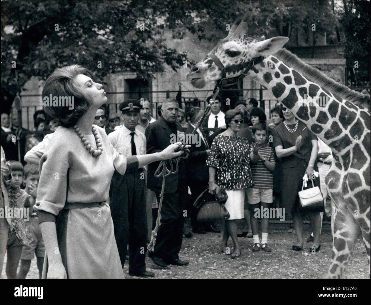 29. Februar 2012 - Rom, 1. September 1963. Silva Koshina kehrten die italienische Schauspielerin nach Rom aus Paris, wo sie in der italienisch-französischen Produktion auftrat, war Gott-Mutter, heute Morgen eine Neugeborene Giraffe, dessen Name Bella ist. Die Zeremonie wurde durch die zahlreichen Kinder, die von ihren Angehörigen begleitet, besuchten den Zoo genossen. Stockfoto