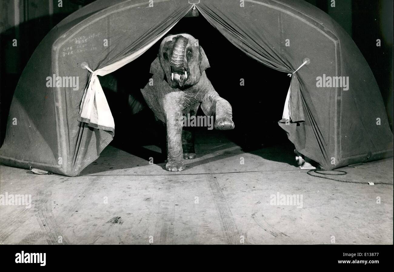 Elephant Proof Stockfotos und -bilder Kaufen - Alamy