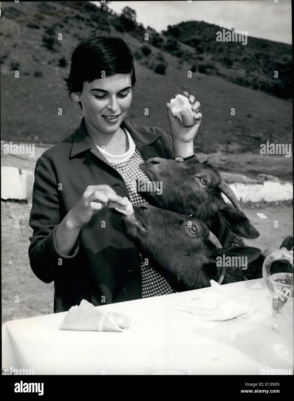 29. Februar 2012 - speist Lucia Bose die Ziegen des Kopfes gehalten auf der Domenguin Ranch in der Nähe von Madrid. Stockfoto