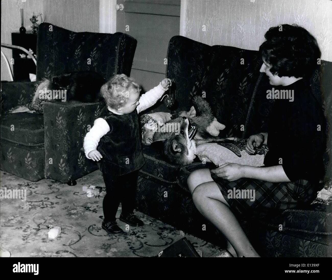 29. Februar 2012 - eine bequeme Art der Fuchsbau... Rostig, 1 3/4, spielt nun glücklich mit Vanessa und ihre Rassel während Mrs Price schaut. Stockfoto