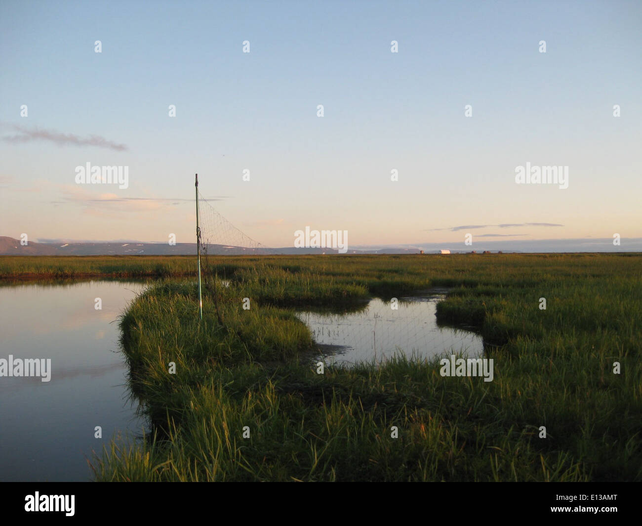 Nach einem langen Tag voller Nebelnetze im Yukon Delta National Wildlife Refuge, Alaska, sammeln Forscher Daten über wandernde Vogelarten. Diese Methode liefert wertvolle Informationen für den Artenschutz und hilft, Vogelpopulationen in der Region zu verfolgen. Stockfoto
