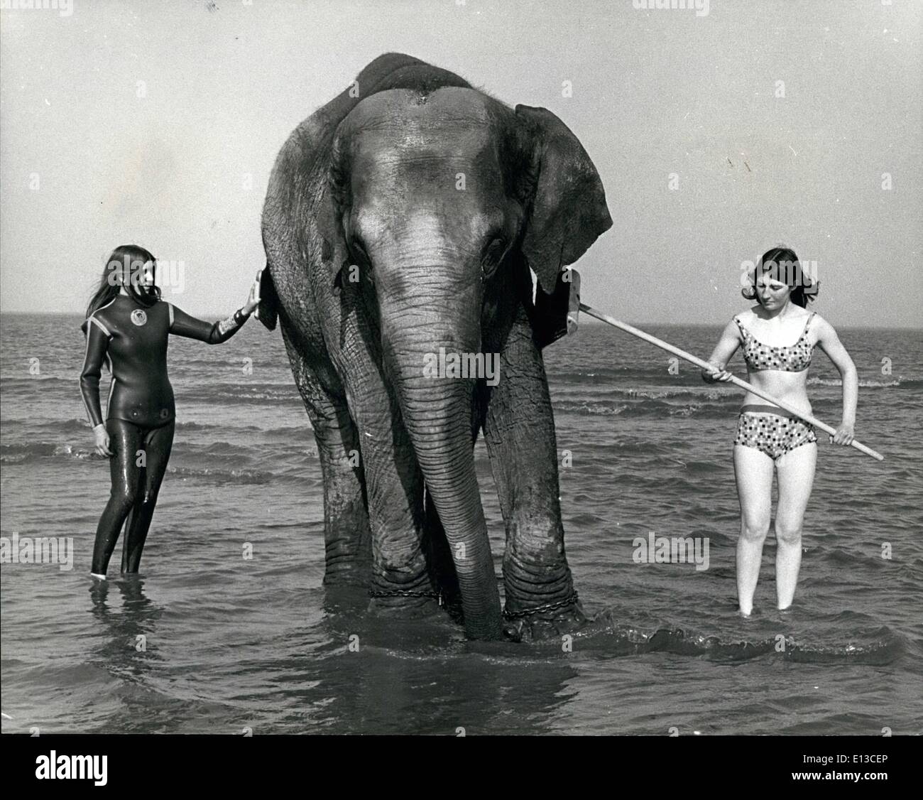2. März 2012 - 1. Tanya, der Elefant ruft ihre regelmäßige wöchentliche Peeling nach unten von Linda Burley, 16 links und Denise Hunwicks. Stockfoto