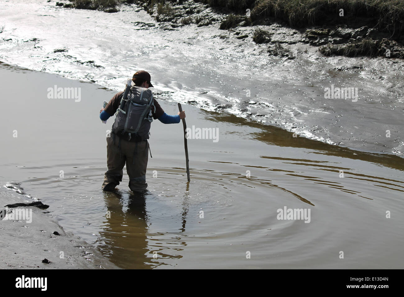 Im Yukon Delta National Wildlife Refuge in Alaska gibt es Wasservögel und andere Wildtiere. Diese Gebiete unterstützen verschiedene Ökosysteme, wobei der Schwerpunkt auf der Datenerhebung während der Sommerfeldsaison liegt. Stockfoto