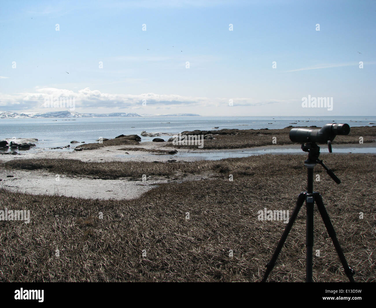 Vogelbeobachtung im Yukon Delta National Wildlife Refuge in Alaska, einem erstklassigen Gebiet für Vogelbeobachtung und Tierforschung, das sich auf Wasservögel und Vogelschutz konzentriert. Stockfoto