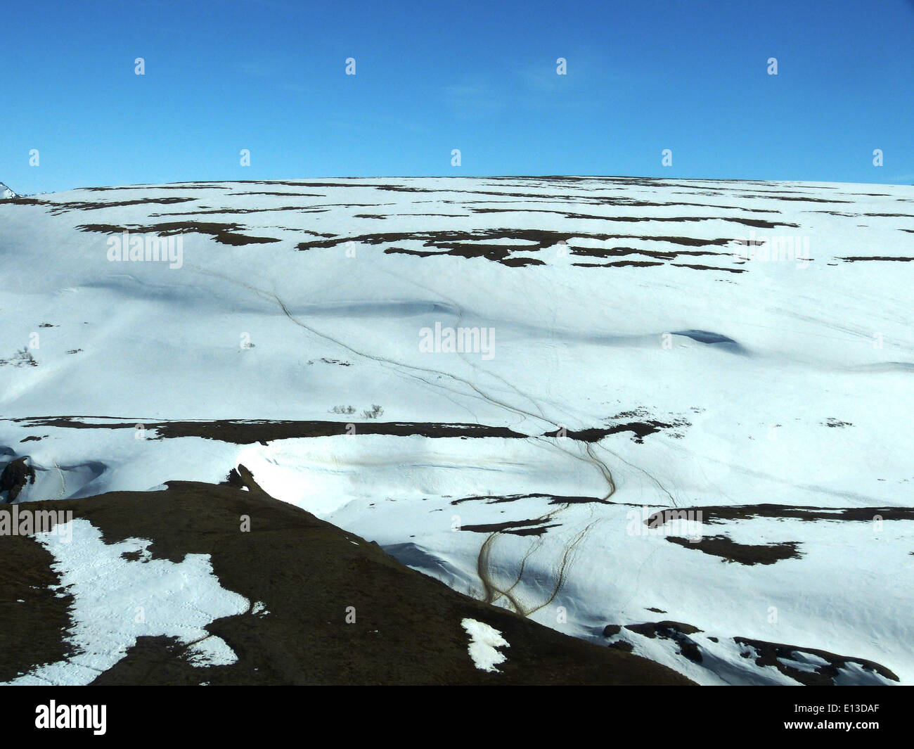 Karibusspuren sind in den Kilbuck Mountains im Yukon Delta National Wildlife Refuge, Alaska, zu sehen und zeigen die Wanderungsmuster dieser nördlichen Art. Stockfoto