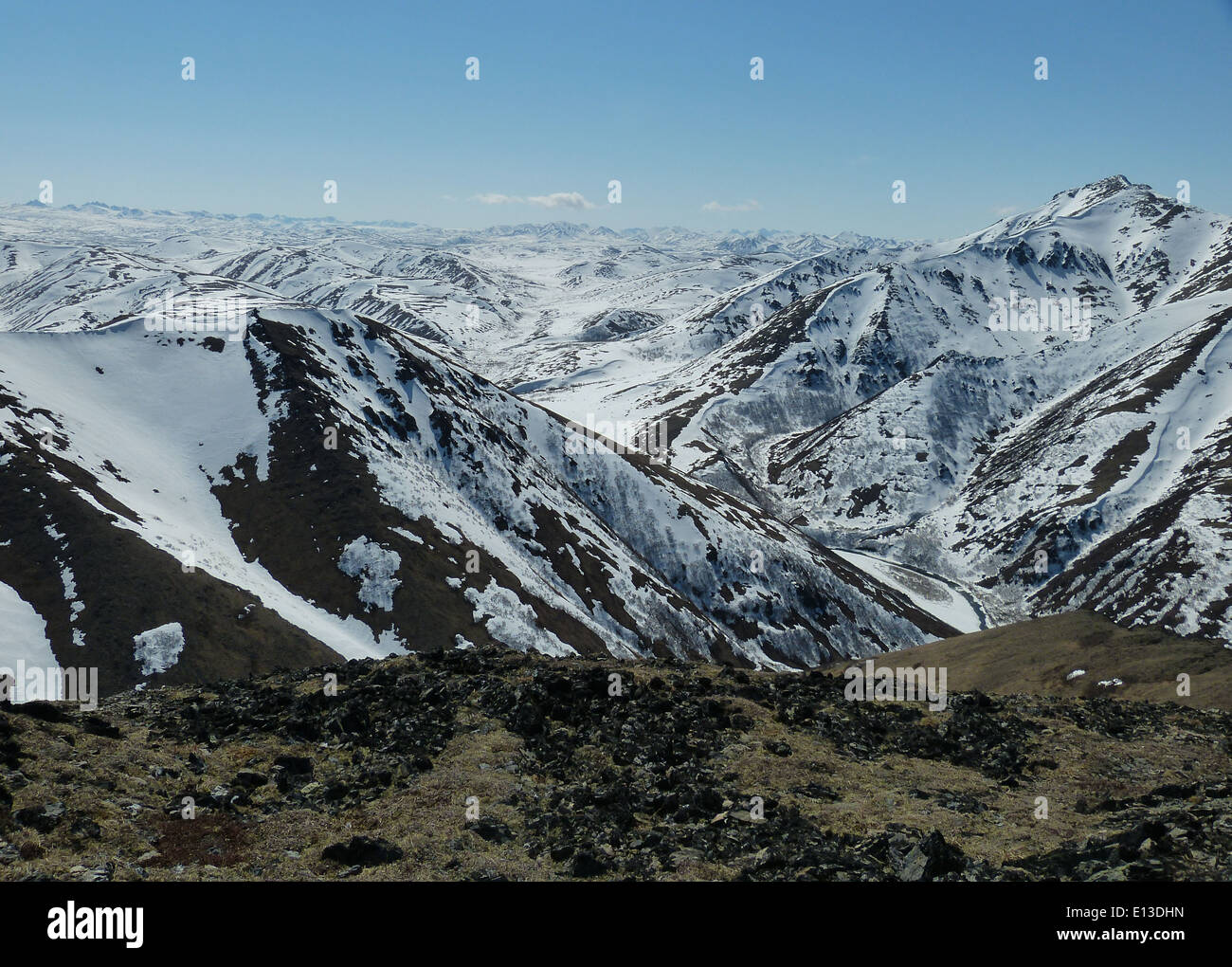 Im Mai 2013 wurde über den Kilbuck Mountains, einem Teil des Yukon Delta National Wildlife Refuge in Alaska, eine Raptorenuntersuchung durchgeführt, um die Populationen und ihre Lebensräume zu überwachen. Stockfoto