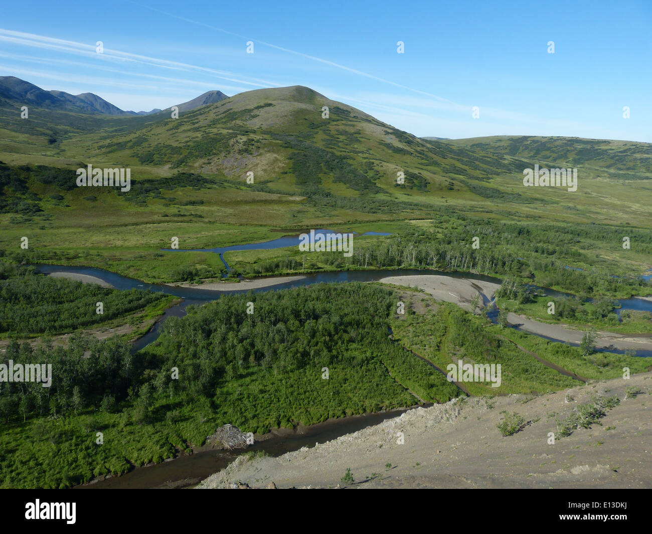Das Yukon Delta National Wildlife Refuge in Alaska ist die Heimat einer Vielzahl von Raptoren. Mit Hubschraubern durchgeführte Erhebungen helfen, die Populationen zu überwachen und liefern wichtige Daten für die Erhaltungsbemühungen in den borealen Ökosystemen der Region. Stockfoto