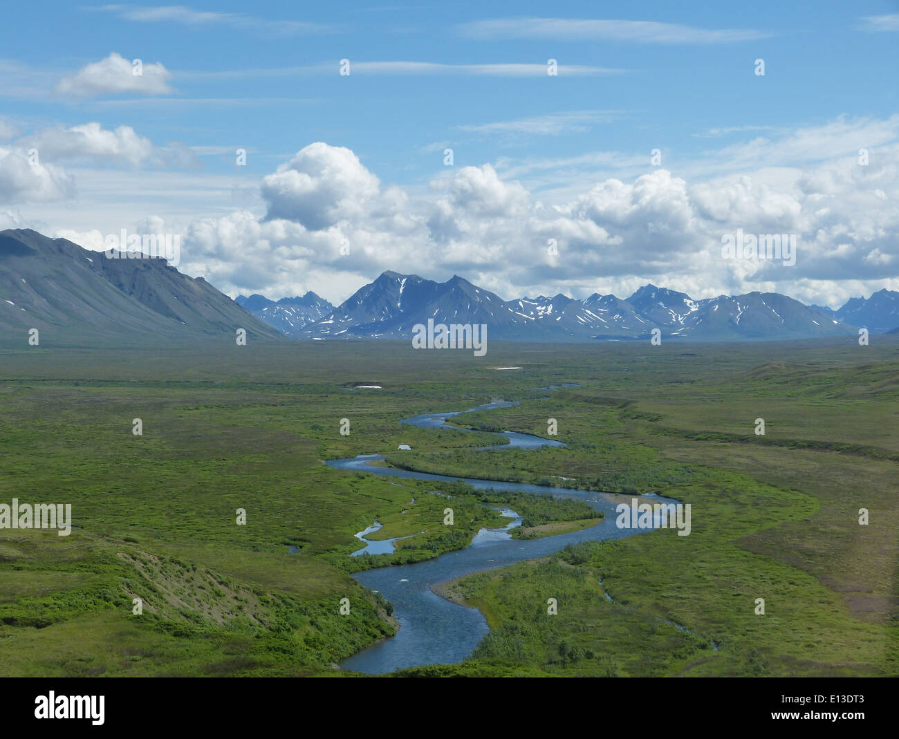 Der Kisaralik River im Yukon Delta National Wildlife Refuge ist ein kritischer Lebensraum für verschiedene Tierarten. Das Gebiet ist auch ein wichtiger Ort für Greifvogeluntersuchungen, die von Hubschraubern über den Kilbuck Mountains durchgeführt werden, um Vogelpopulationen und ihre Migrationsmuster zu überwachen. Stockfoto
