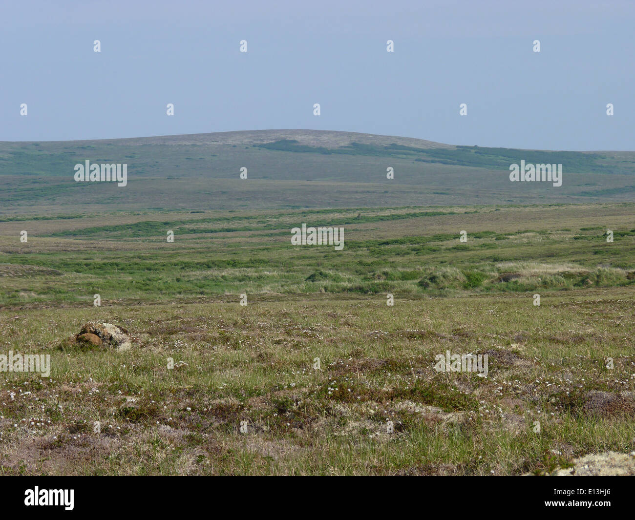 Die Andreafsky Wilderness liegt im Yukon Delta National Wildlife Refuge in Alaska. Es bietet eine unberührte, natürliche Umgebung, die vielfältige Tierwelt und einheimische Landschaften unterstützt. Das Gebiet ist für den Schutz von Wildtieren und Ökosystemen von wesentlicher Bedeutung. Stockfoto