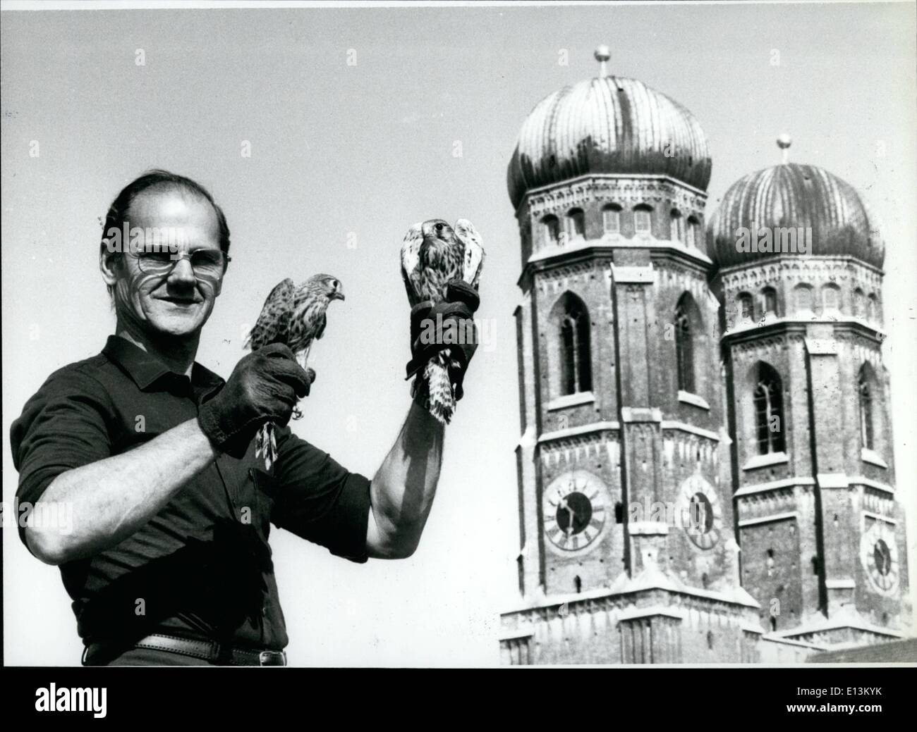 2. März 2012 - '' Vater des Falken '' in München/BRD - vor der berühmten München '' Frauenkirche'' diese zwei - und zehn andere - wurden junge Falken von Ernst Dietrich (im Bild) freigelassen. Der 60 Jahre alten Mann namens '' Münchens Vater des Falken". Schon seit Jahren, die er kümmert sich um für Unjured und schwache Vögel, die er wieder und wenn bringt Runde fit genug, er sie frei. Mehr als 300 Vogelarten --Sperber, Eulen, Bussarde und Waldkäuze Fe - sind Übernachtung in seinem Stifte '' Kuren Stockfoto