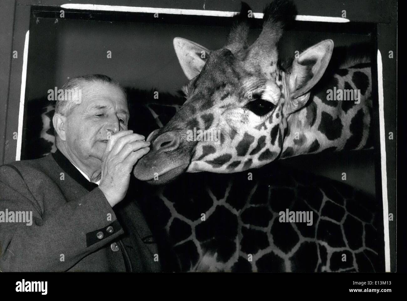 2. März 2012 - wird Zoodirektor Heinz Heck 75 Jahre alt! Am 22. Januar kann  die Münchner Zoodirektor seinen 75. Geburtstag feiern. Er hat eine  Leidenschaft für Tiere hatte, seit er ein