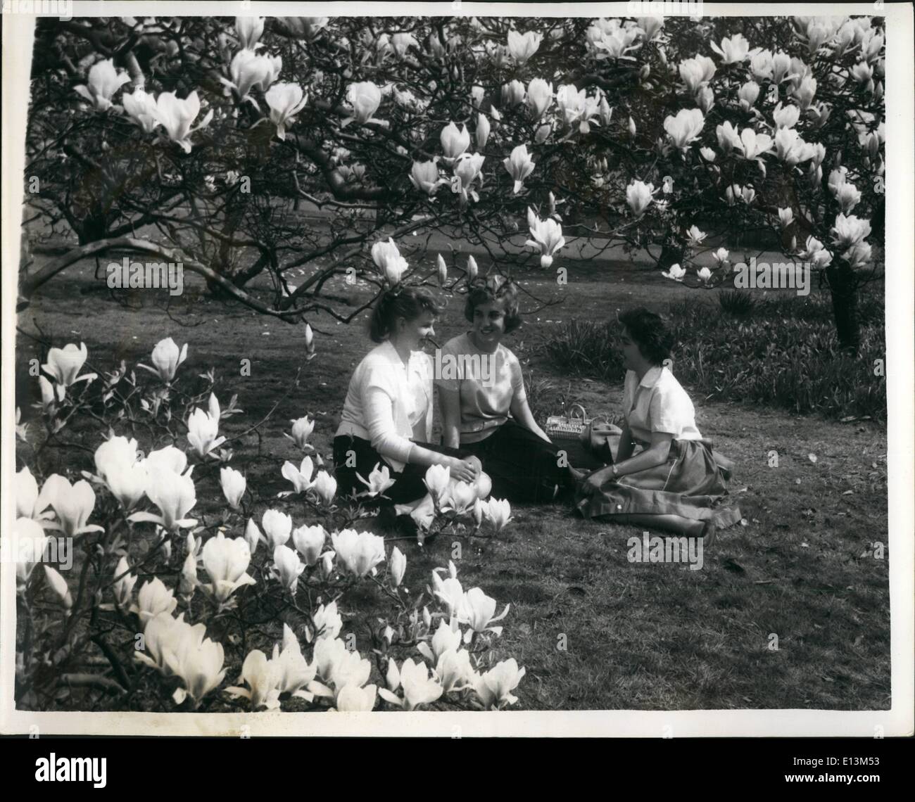 22. März 2012 - Frühling in der Luft: Frühling ist ein wenig spät in diesem Jahr aber besser spät als nie und es ist in Kew Gardens angekommen. Stockfoto