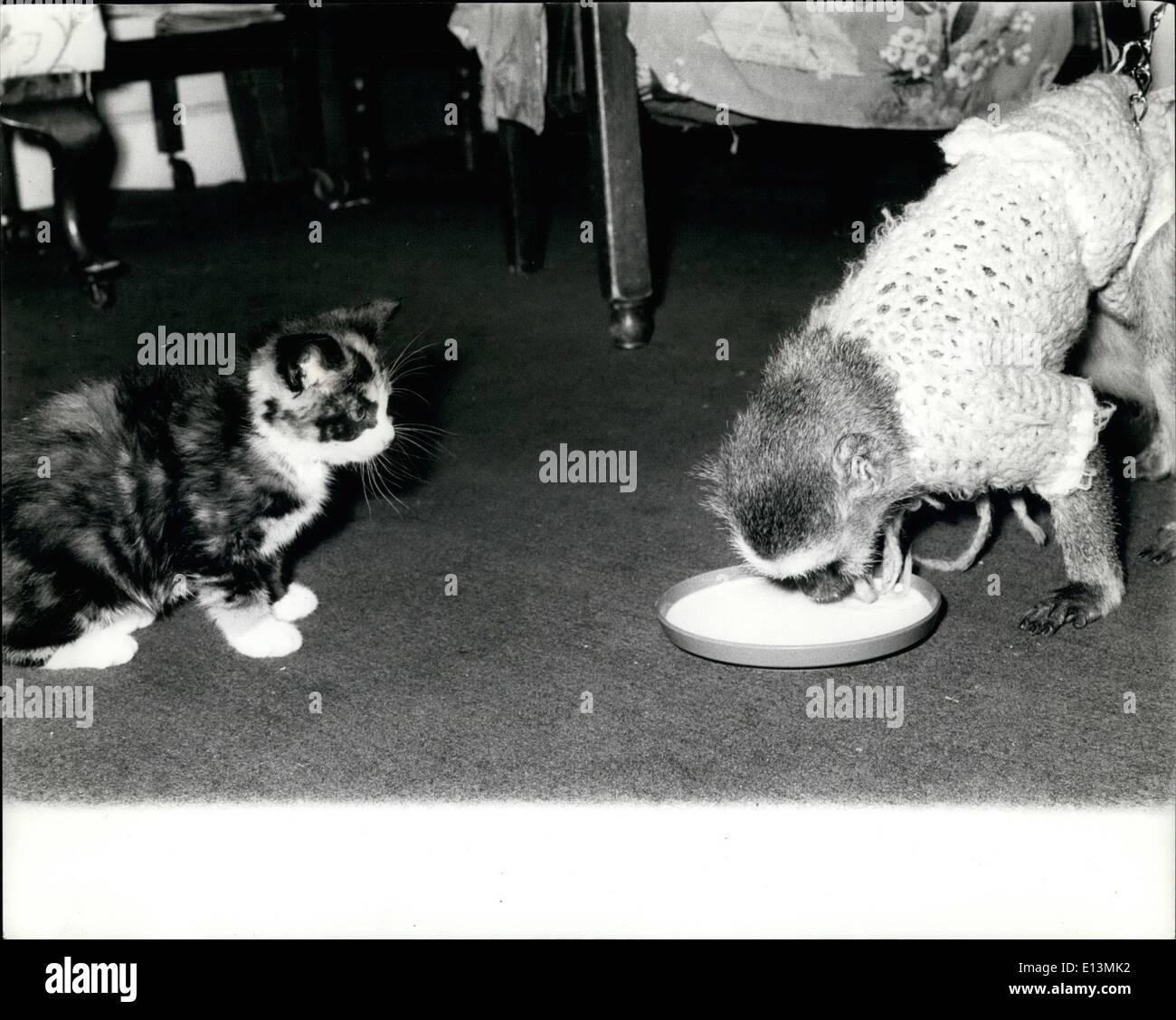 2. März 2012 - meine Milch Stockfoto