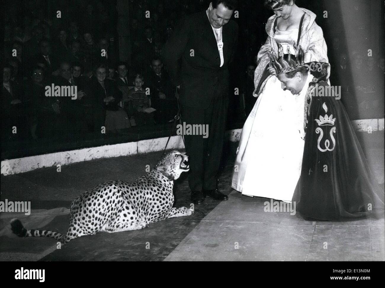 2. März 2012 - beeindruckt Cheetah nicht, genannt König. Stockfoto