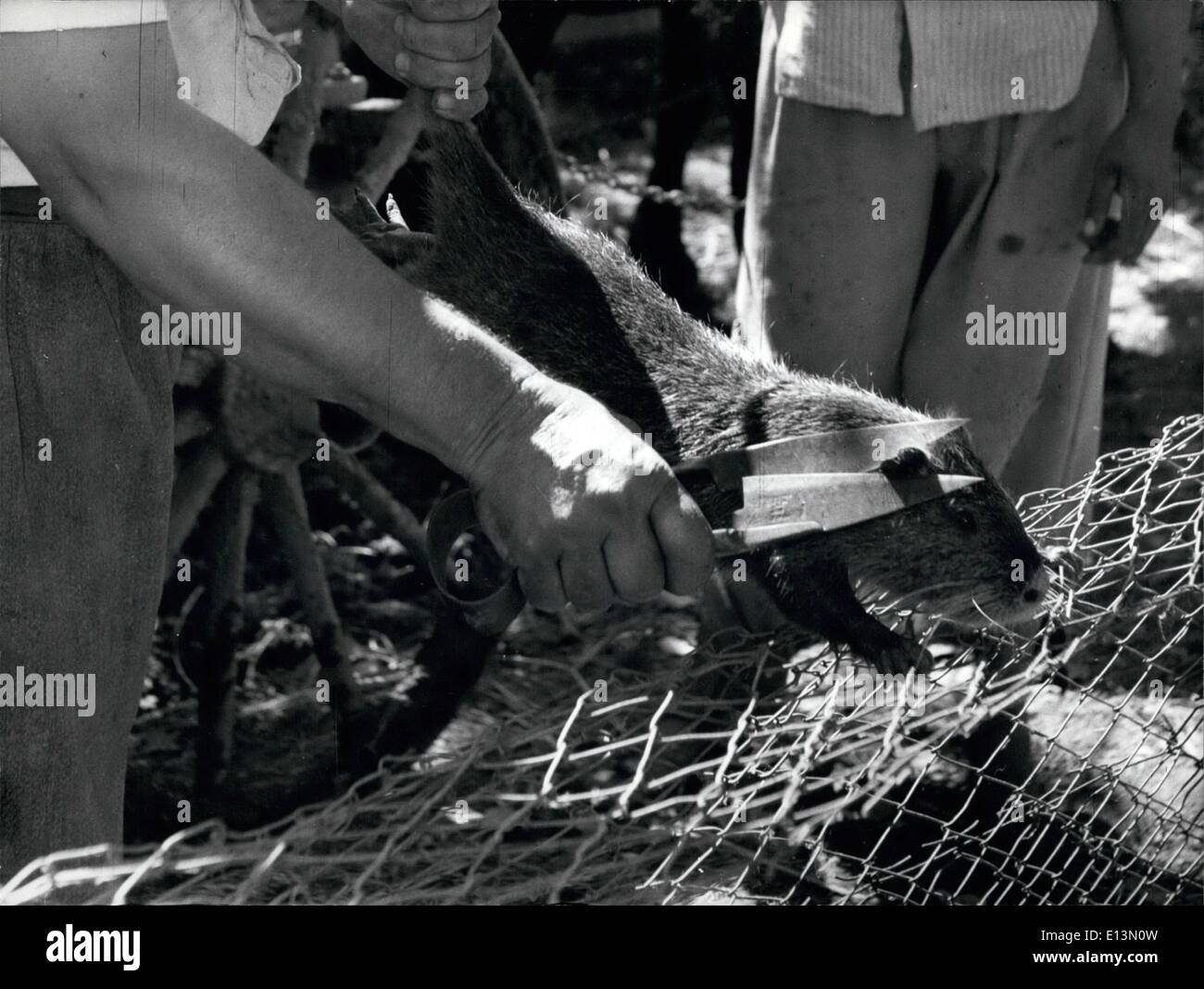 Tut 2. März 2012 - was er? Stockfoto