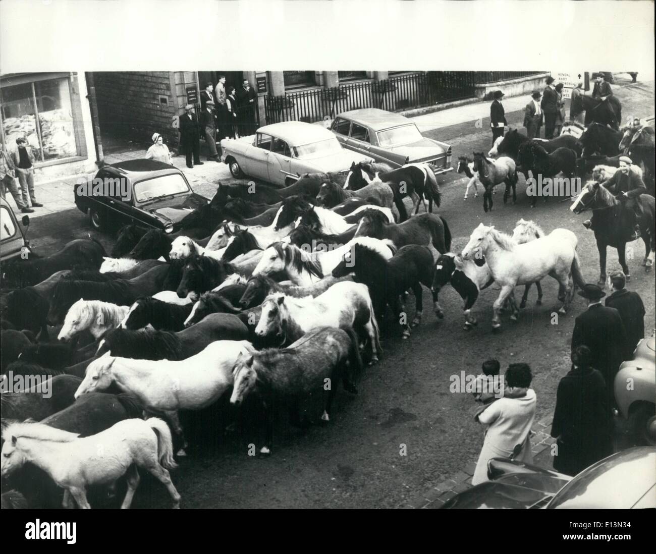 2. März 2012 - Almabtrieb in Westmoreland Dorf: die Menschen auf das winzige Dorf Kirby Stephen werden verwendet, um auf ihre TV-Geräte, Vieh treibt in der amerikanischen westerne, sehen, aber waren überrascht, als ihr Dorf nahm eine wilde wollig West scene.as Hügel Landwirt seine Hill Ponys fuhr auf den Markt. Stockfoto