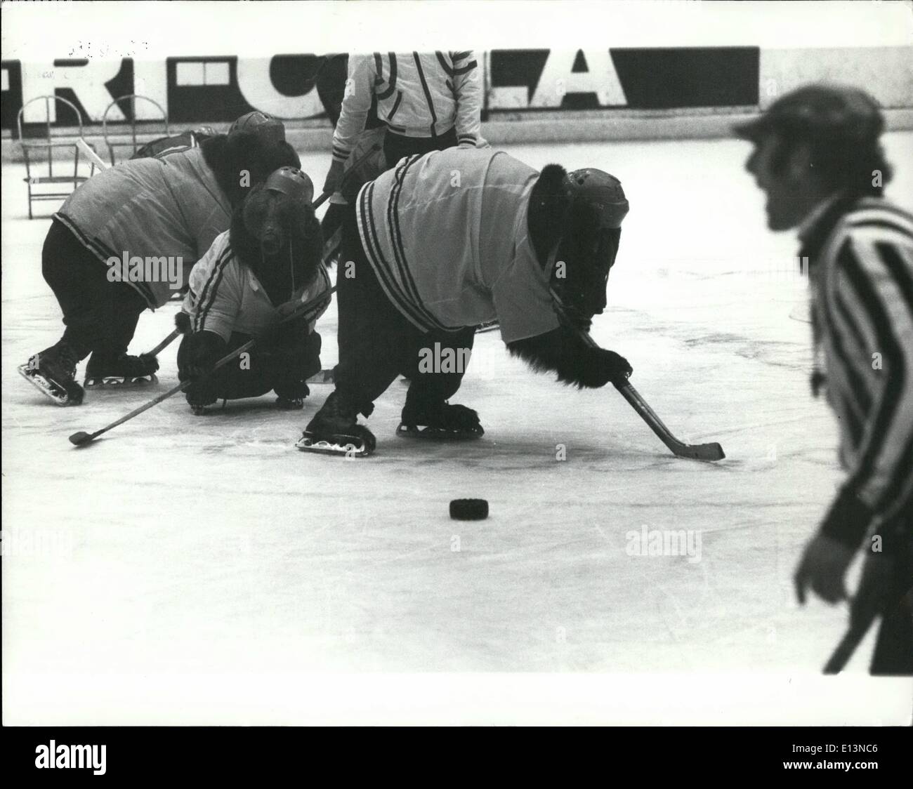 2. März 2012 - Eishockey Match mit einem Differance: ein Eishockey-Spiel mit den letzten Unterschied fand in der Olympiahalle München. Ein Team von russischen Braunbären übernahm ein Team von Schimpansen. Es war sehr unterhaltsam match für die vielen Zuschauer, die besucht. Die beiden Teams wurden ausgebildet von den deutschen Acrobat-Familie der Renzs, die die Tiere besitzen. Die Mannschaften dauerte drei Jahre, um zu trainieren. Foto zeigt Action-Aufnahmen aus dem Spiel. Die Schimpansen gewann 3-2. Stockfoto