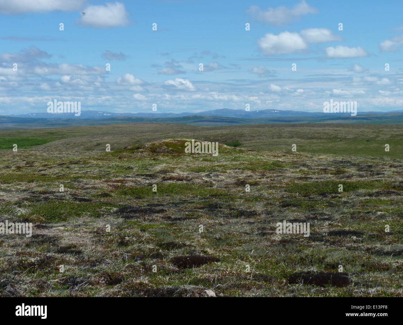 Die Andreafsky Wilderness, die sich im Yukon Delta National Wildlife Refuge befindet, bietet unberührte Wildniserlebnisse und schützt wertvolle Landschaften und Tiere in Alaskas abgelegenen Regionen. Stockfoto