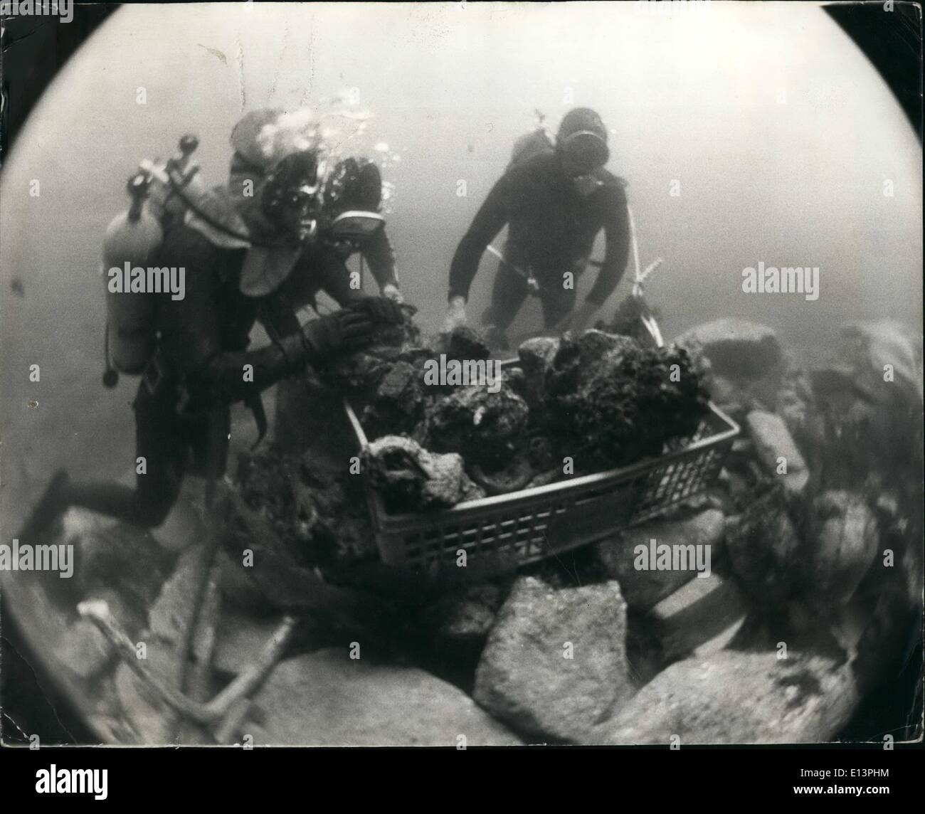 22. März 2012 - Hamilton Kollektion Cornish Küste entdeckt; Einer der weltweit besten bemalte Keramik-Sammlungen, die seit fast 180 Jahren vermisst wurde ist aufgewachsen von Tauchern nach Entdeckung des Vorjahres und wird vom britischen Museum zusammengesetzt. Zur Zeit ist niemand bereit, einen Preis auf die Sammlung, die einst Sir William Hamilton, gehörte, die als Erinnerung wurde '' der Mann, der seine Frau mit einem Admireal (Napoleon) geteilt und teilte seinen Schatz mit dem Meer Stockfoto