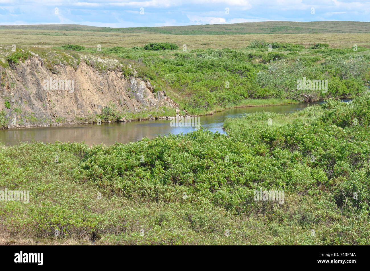 Allen Creek, der sich in der Andreafsky Wilderness des Yukon Delta National Wildlife Refuge befindet, bietet eine unberührte natürliche Landschaft. Dieses Wildnisgebiet ist für die Erhaltung der Artenvielfalt und der Lebensräume der Region von entscheidender Bedeutung. Stockfoto
