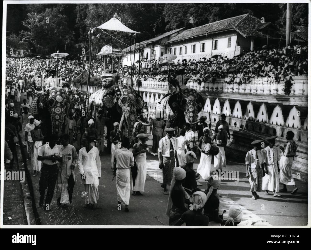27. März 2012 - aufgezäumtes Ceylon drei Tuskers, die bildeten die Vorhut der Kandy Perahera Festival mit dem im Zentrum tragen die Reliquien des Buddha, die vor kurzem für Ansicht während des Besuchs von U.N. Generalsekretär u Thant ausgesetzt waren. Die Kandy Trommler (Vordergrund) mit ihren fließenden Kopfbedeckungen gelten führt die Prozession. Amerikanischen TV erfasst das gesamte Verfahren der diesjährigen Feierlichkeiten. Stockfoto