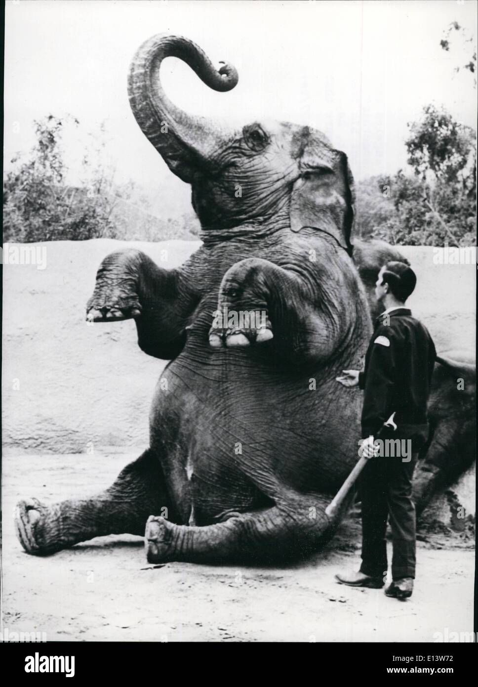 27. März 2012 - der Clown des Zoos: Jumbo, einer der die Elefanten des Zoo von Los Angeles in Kalifornien, nicht gerne für Fragen Stockfoto