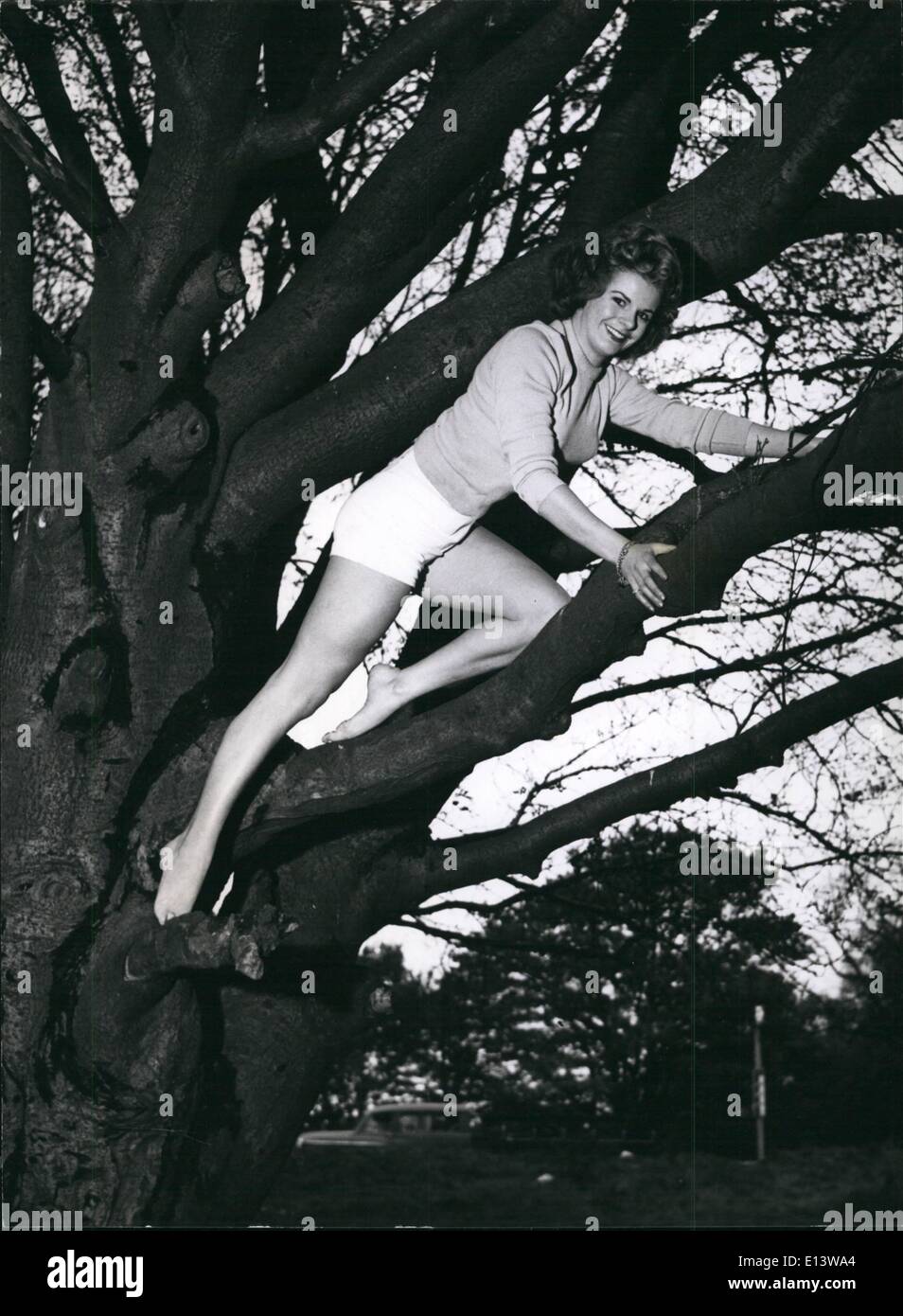 27. März 2012 - Wir verneigen uns an dieses Mädchen von den Zweigen: zwei Arten von Gliedmaßen hier. Die formschöne Glieder der Baum Liebhaber Marilyn Davis, und die Glieder von den hohen Bäumen, in denen sie liebt es, sich zu entfalten. Marilyn ist wie zu Hause in den Wäldern als vor den Fernsehkameras - aber sie lieber unter freiem Himmel Leben des ersteren. Stockfoto