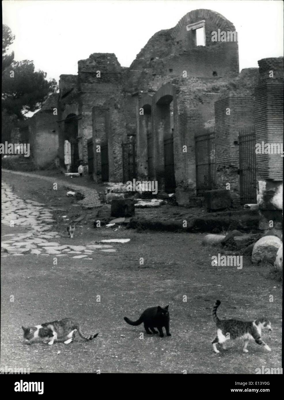 31. März 2012 - Rom, Januar 1967 - Besorgnis für die Katzen. Eine Mitteilung kündigt an, dass die Katzen des römischen Forums durch die römischen Behörden beseitigt werden. Sie sind sehr viel jetzt und Augment von Tag zu Tag. Das Foto zeigt Katzen auf dem Forum. Stockfoto