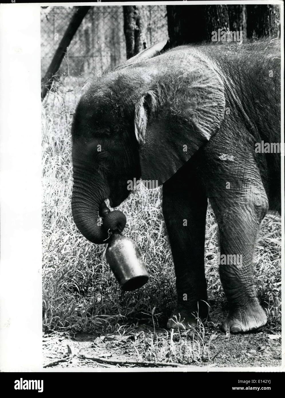 31. März 2012 - Juma, ruft der junge 9 Monate alten verwaisten Elefanten in Nairobi Waisenhaus in den Swing der Fütterung mit einem Teil seiner sechs Bier Baby Essen Mischung, die geholfen hat ihm mehr als 180 Kilo zu erreichen, da er im Oktober angekommen. Stockfoto