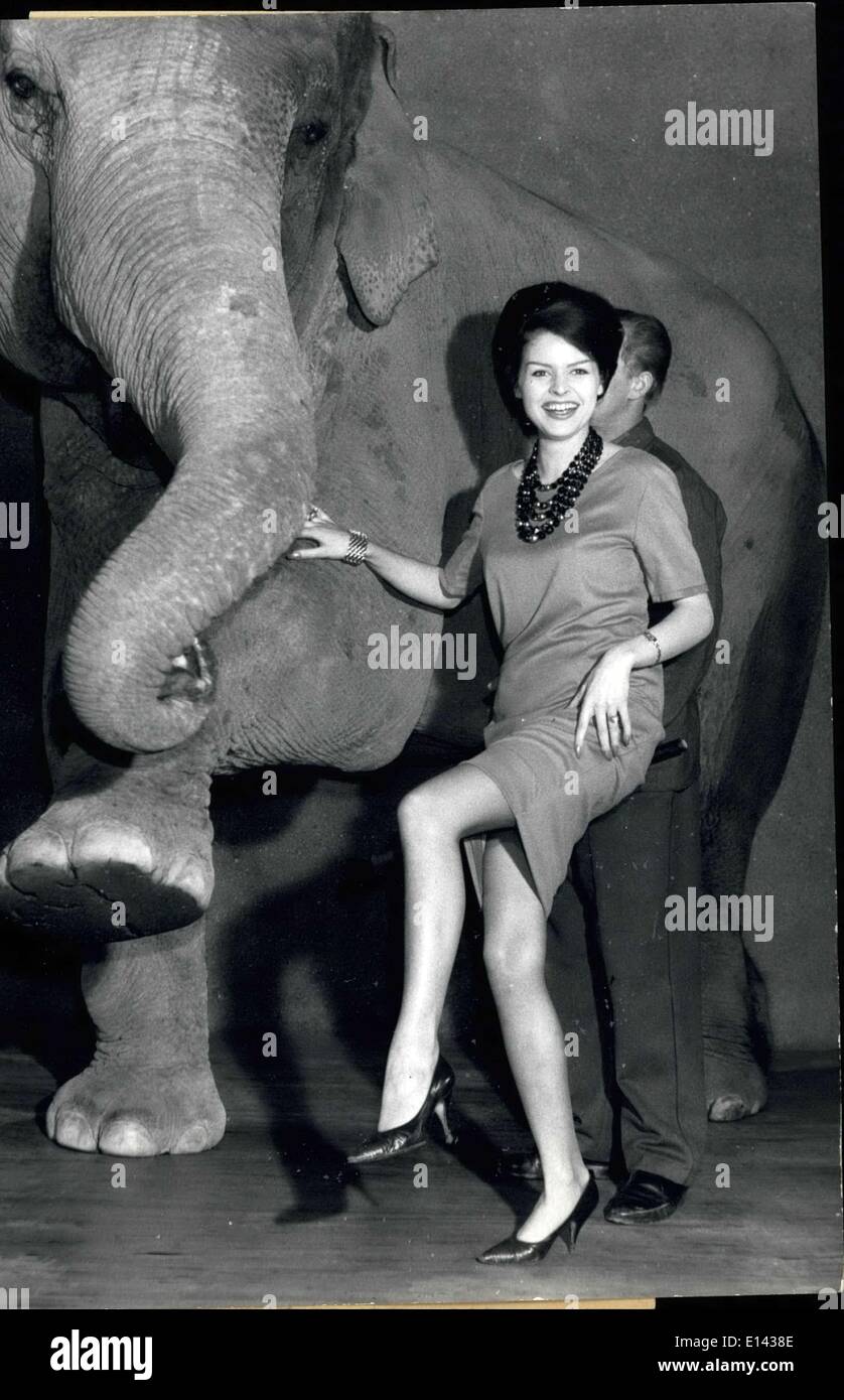 31. März 2012 - vereinbart der Elefant. Wenn Sie aufgefordert, zusammen mit einer netten jungen Dame in Hamburg Zoo Hagenback, einen neuartiger enorm widerstandsfähig Bodenbelag zu testen. Es erwies sich jedoch, dass die gewichtige Elefanten Dame Kiri, mit fast 60 cwt. nicht mehr Druck auf den Bodenbelag als Mannequin Gisela mit ihrem Bleistift-Heels und nur 50 Kilo. Der Roman Ruboplastic-PVC-Teppich war auf jeden Fall nicht zu beeindrucken. OPS: Die zwei Damen, Kiri und Gisela, an den Beweis der keiner Druck auf das neue Material verlassen. Keystone Hamburg, 14.03.62 Stockfoto