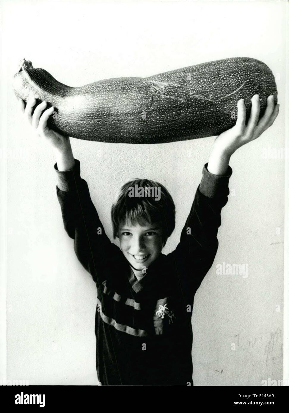 4. April 2012 - das ist eine sehr schwere Frucht: was zehn-jährige Stefan Etschberger hier stolz zeigt. Die gigantische Zucchini, auf denen er wahrscheinlich würde eine ganze Woche essen, wuchs im Garten seiner Eltern in Augsburg/Deutschland. Es misst 62 cm lang und hat einen Durchmesser von 20 cm und es hat ein Gewicht von 6 Kilogramm. Während Stefan seine Schale '' Brot paniert und in Scheiben '' will will seinem Vater die Zubereitung als Gemüse. Aber die beiden serviert werden. In jedem Fall können wir einen guten Appetit wünschen. Stockfoto