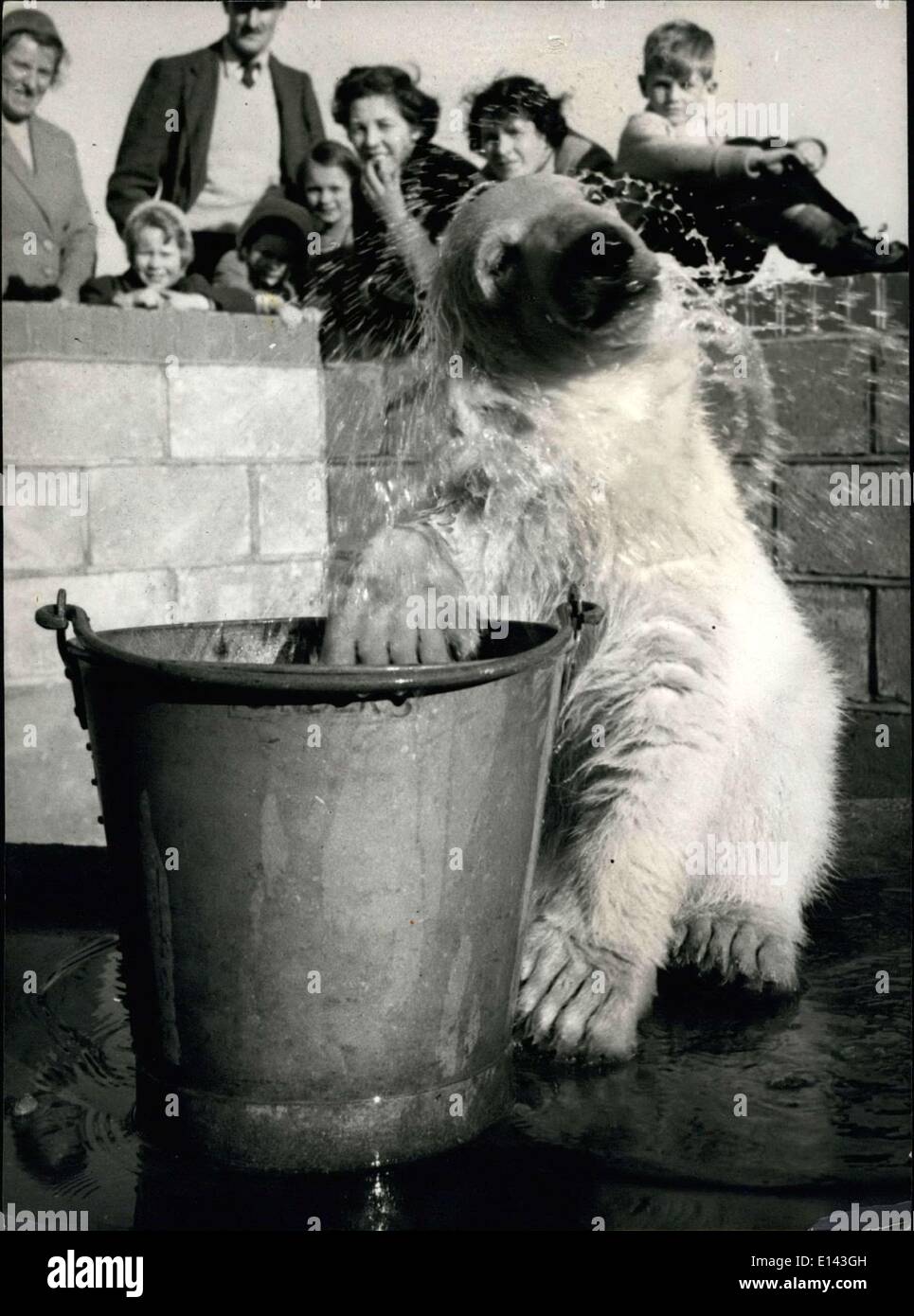 31. März 2012 - Wasser-Baby: oder der Eisbär Picknick geht mein Kopf, Runde und Runde, als ich nach einem Header in das Wasser abschütteln Stockfoto