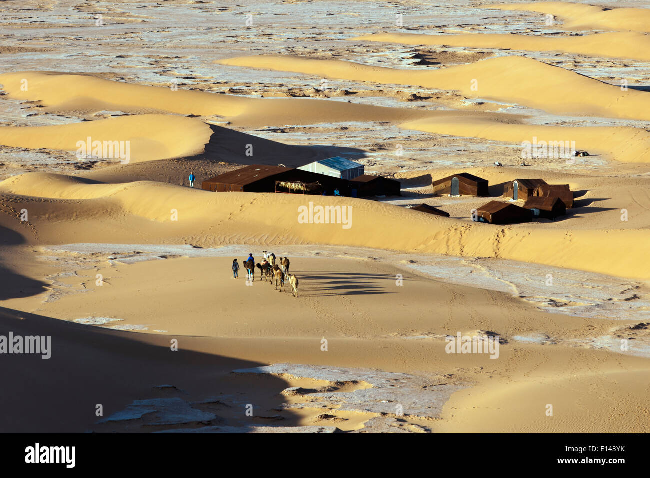 Marokko, Mhamid, Erg Chigaga Dünen. Wüste Sahara. Kameltreiber und Kamel-Karawane Ankunft im Touristenlager, biwakieren. Stockfoto
